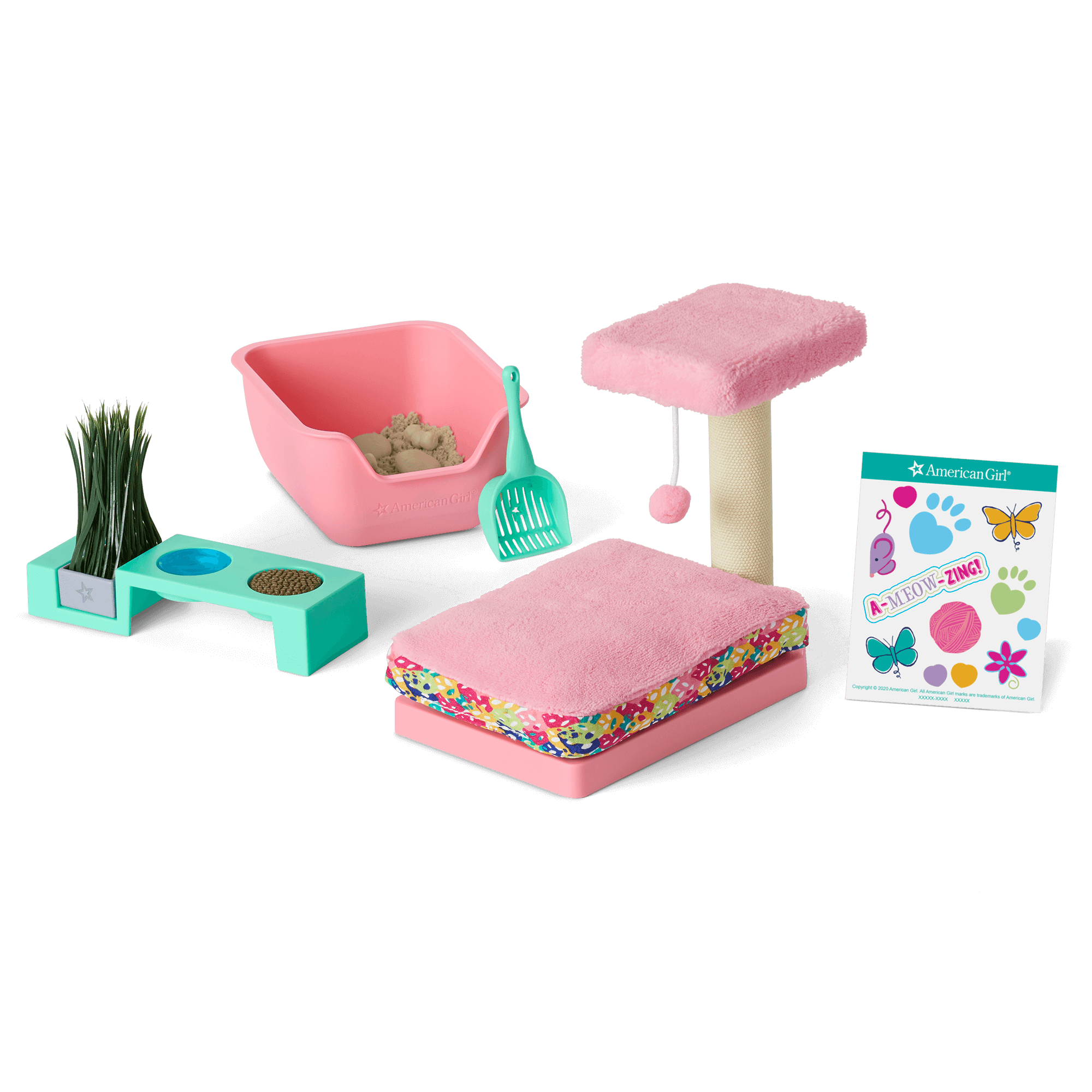 Cat Care Essentials
